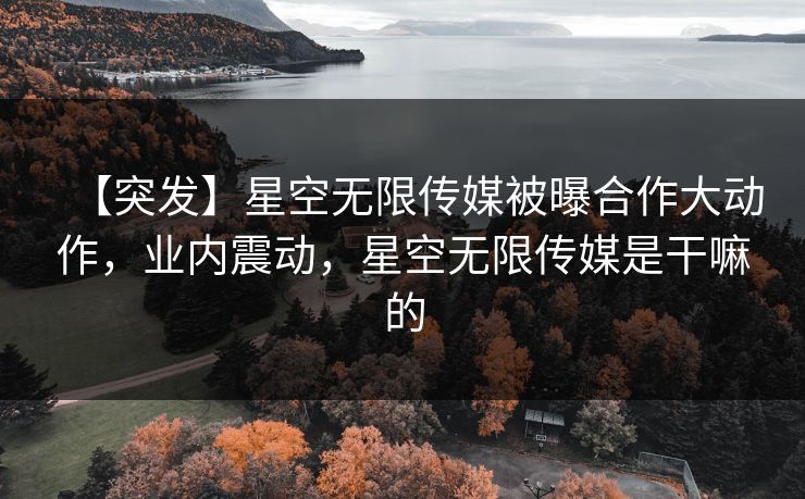 【突发】星空无限传媒被曝合作大动作，业内震动，星空无限传媒是干嘛的