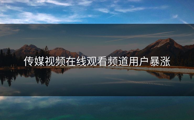 传媒视频在线观看频道用户暴涨