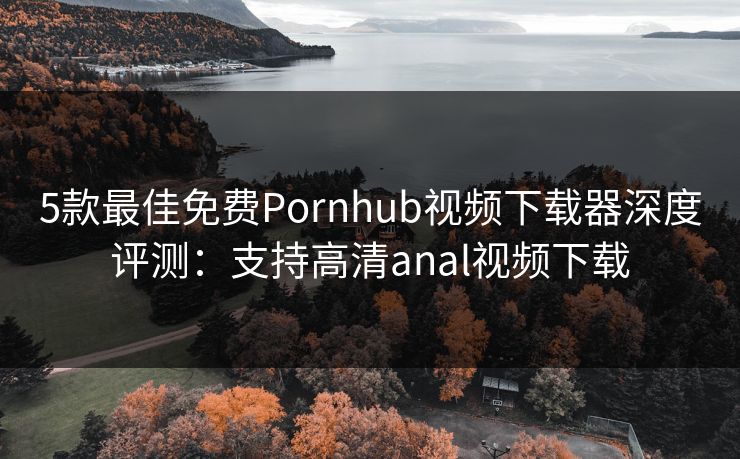5款最佳免费Pornhub视频下载器深度评测：支持高清anal视频下载